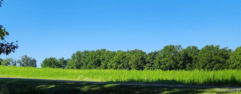 0 Gregory Ridge Road Fowlerville, MI 48836 - Photo 2 of 24 Gallery Image 2