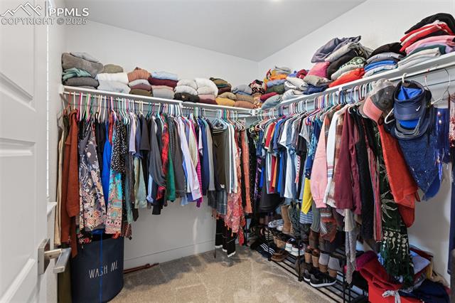 8258 Mount Ouray Road Littleton, CO 80125 - Photo 24 of 28 Spacious closet with carpet
