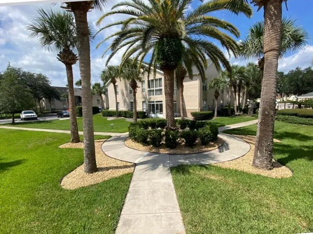 a view of a backyard with plants and palm trees