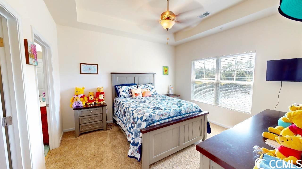 374 Kiskadee Loop, Unit M Conway, SC 29526 - Photo 17 of 31 Gallery Image 17