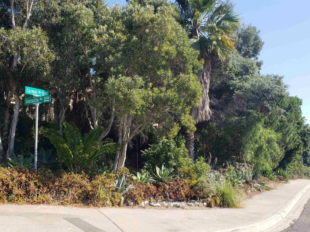 2663 Sausalito Avenue Carlsbad, CA 92010 - Photo 3 of 4 a view of outdoor space and garden