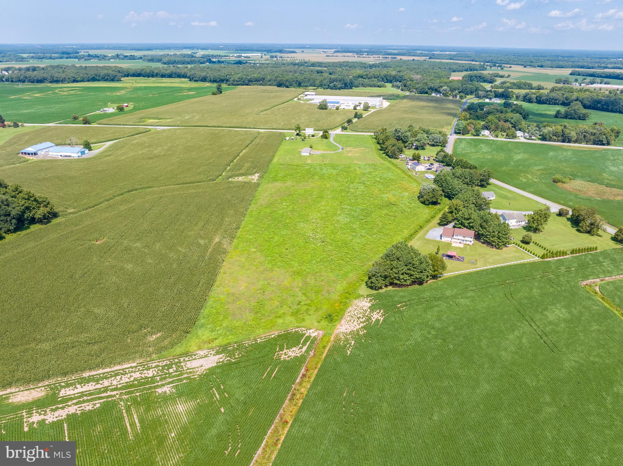 Ridgely Road Ridgely, MD 21660 - Photo 11 of 17 Gallery Image 11
