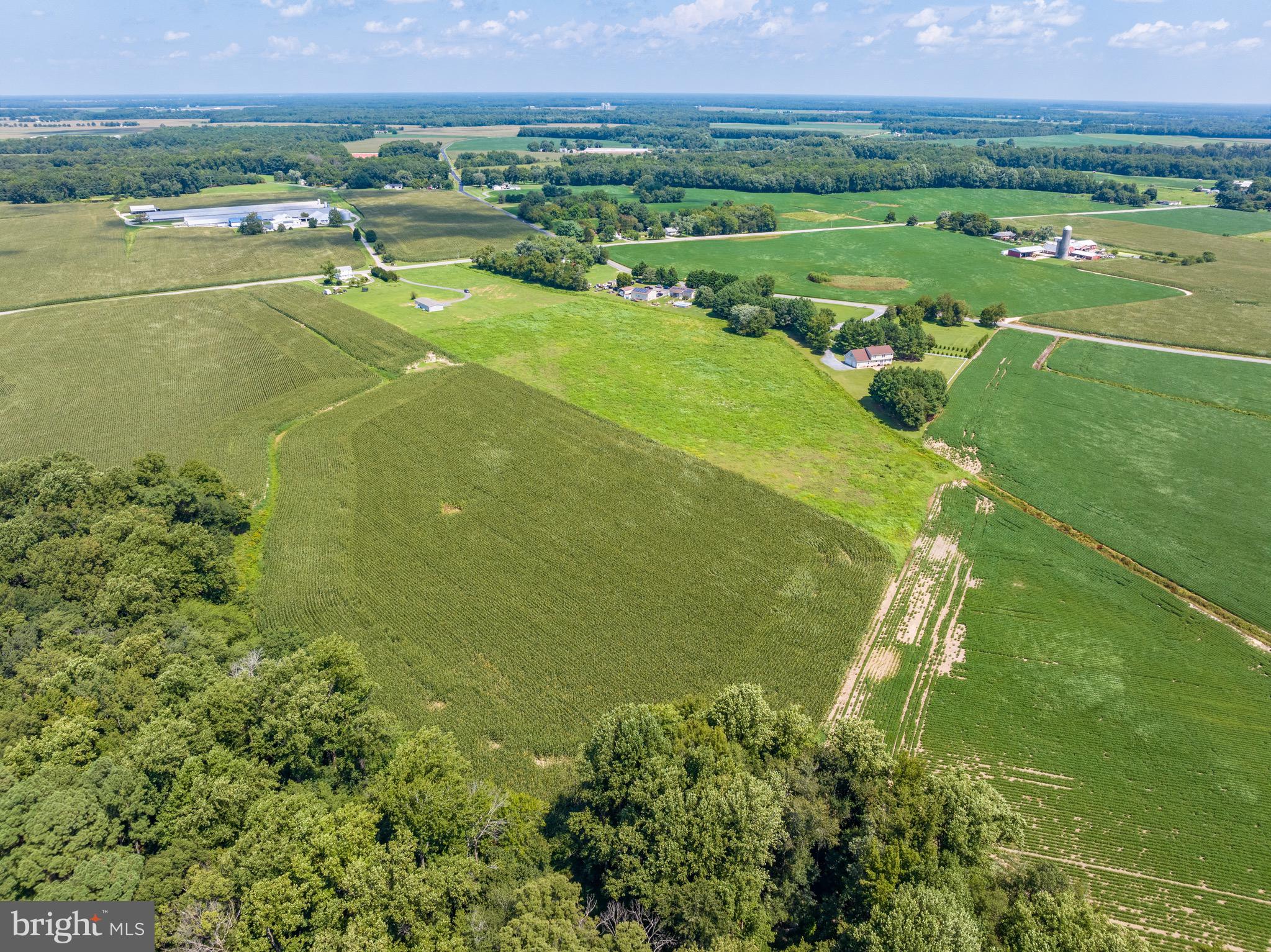 Ridgely Road Ridgely, MD 21660 - Photo 12 of 17 Gallery Image 12