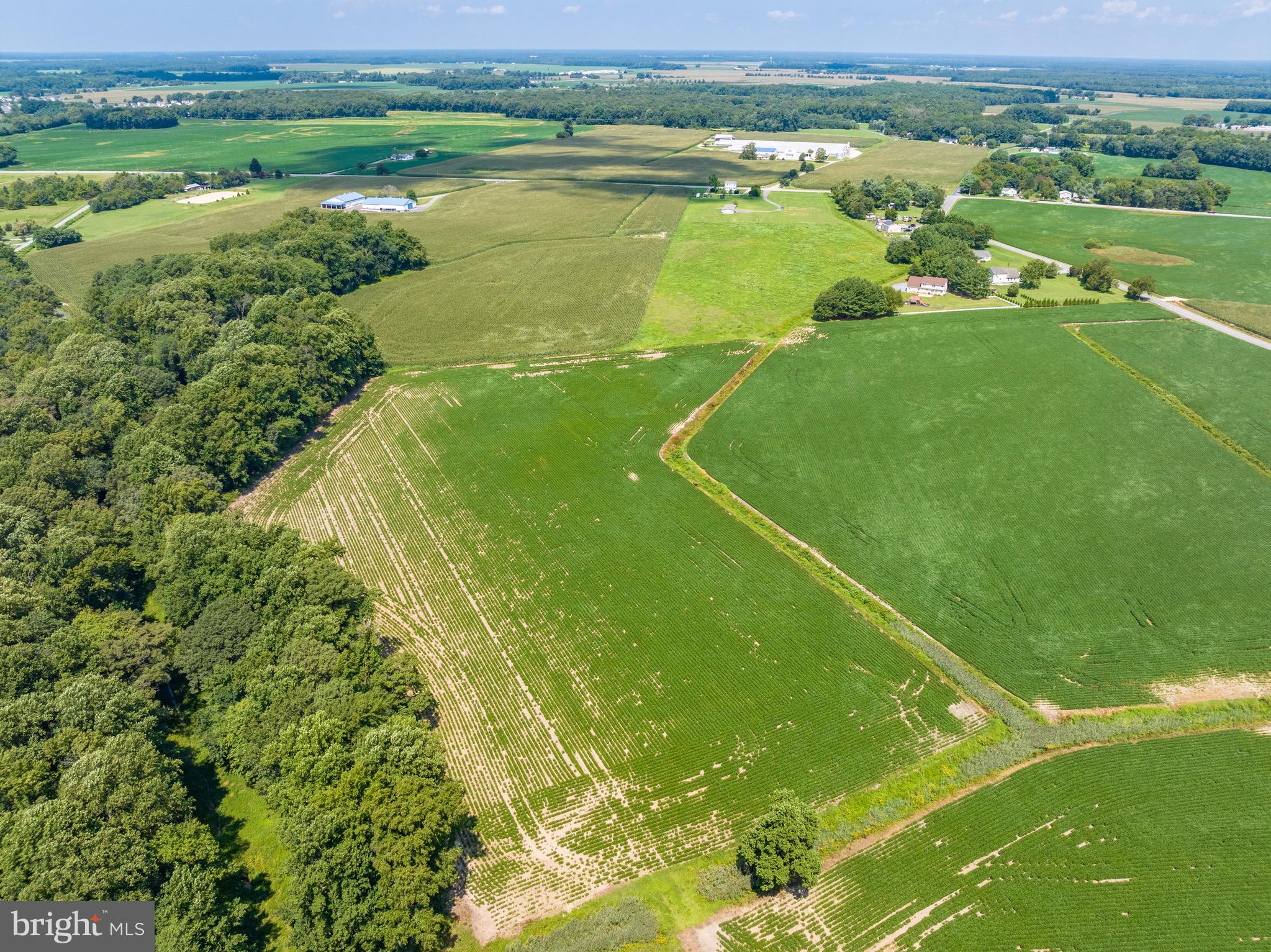 Ridgely Road Ridgely, MD 21660 - Photo 13 of 17 Gallery Image 13