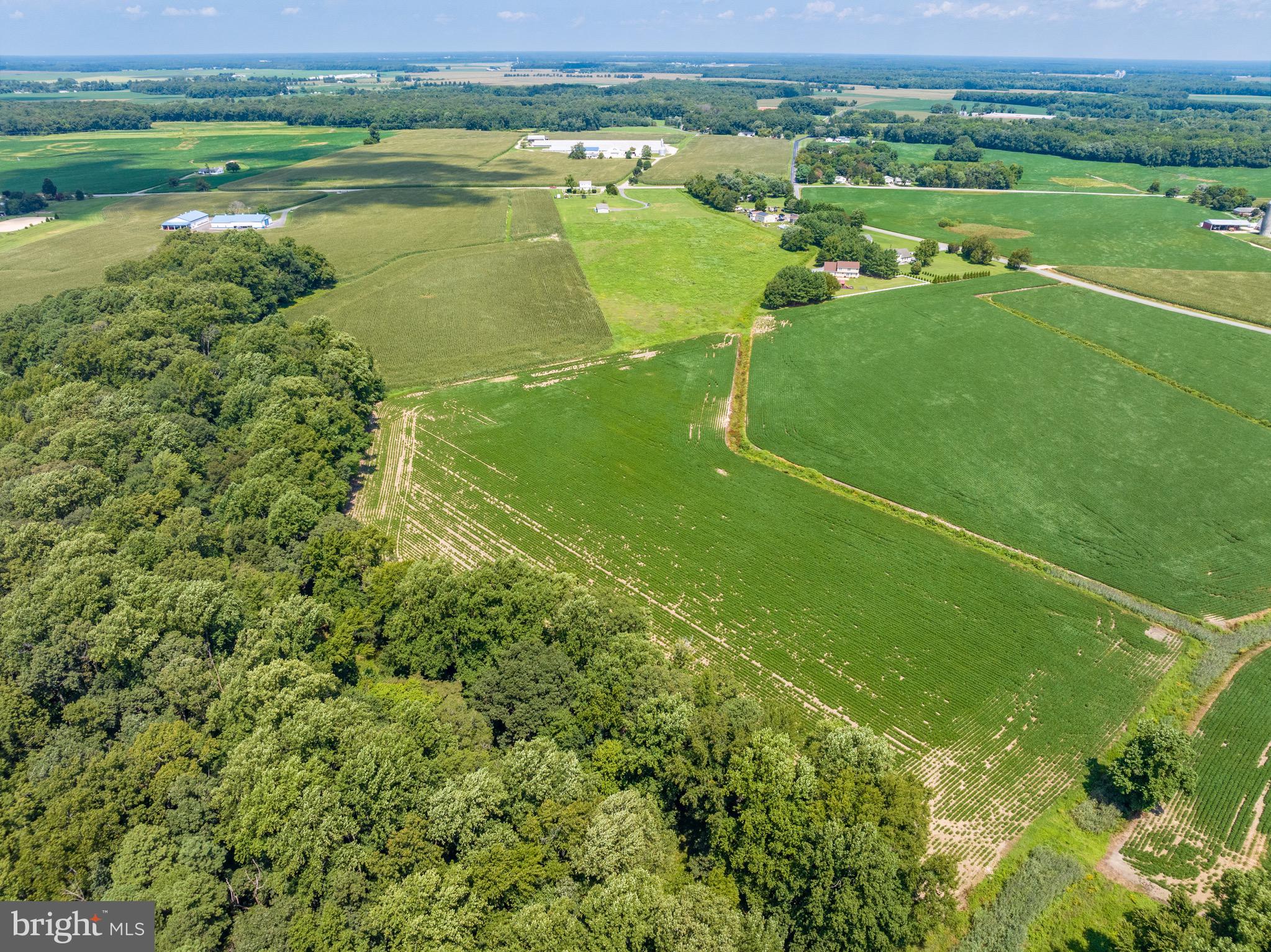 Ridgely Road Ridgely, MD 21660 - Photo 14 of 17 Gallery Image 14