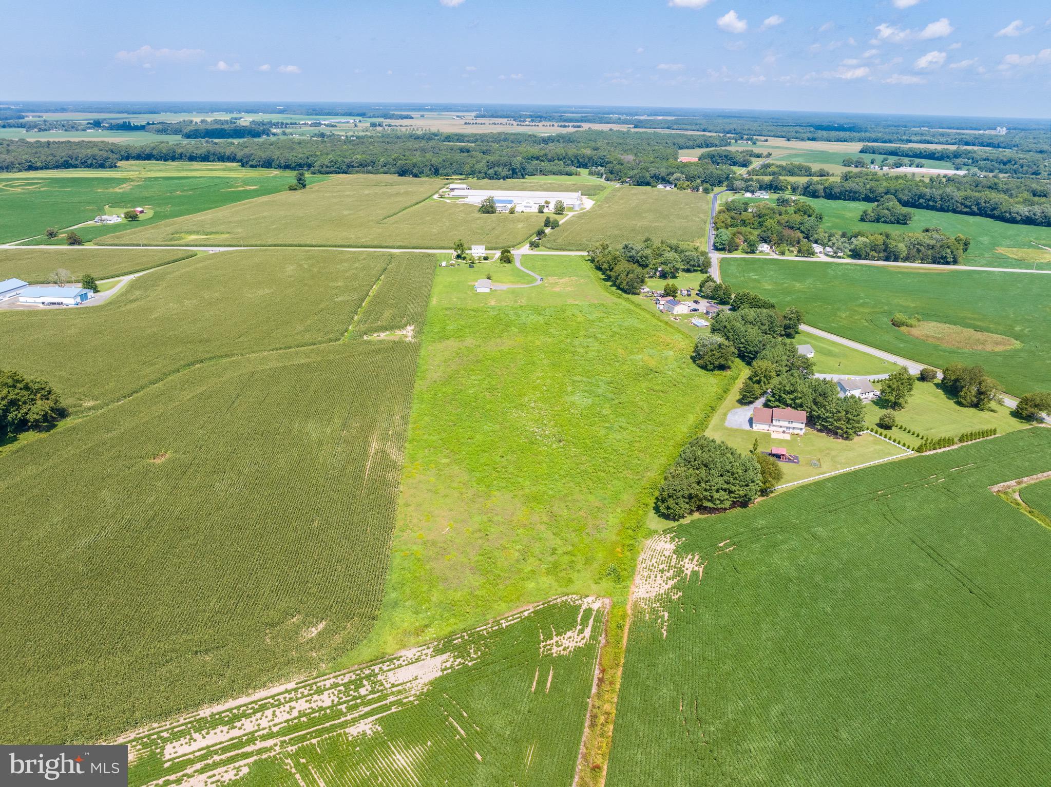 Ridgely Road Ridgely, MD 21660 - Photo 5 of 17 Gallery Image 5