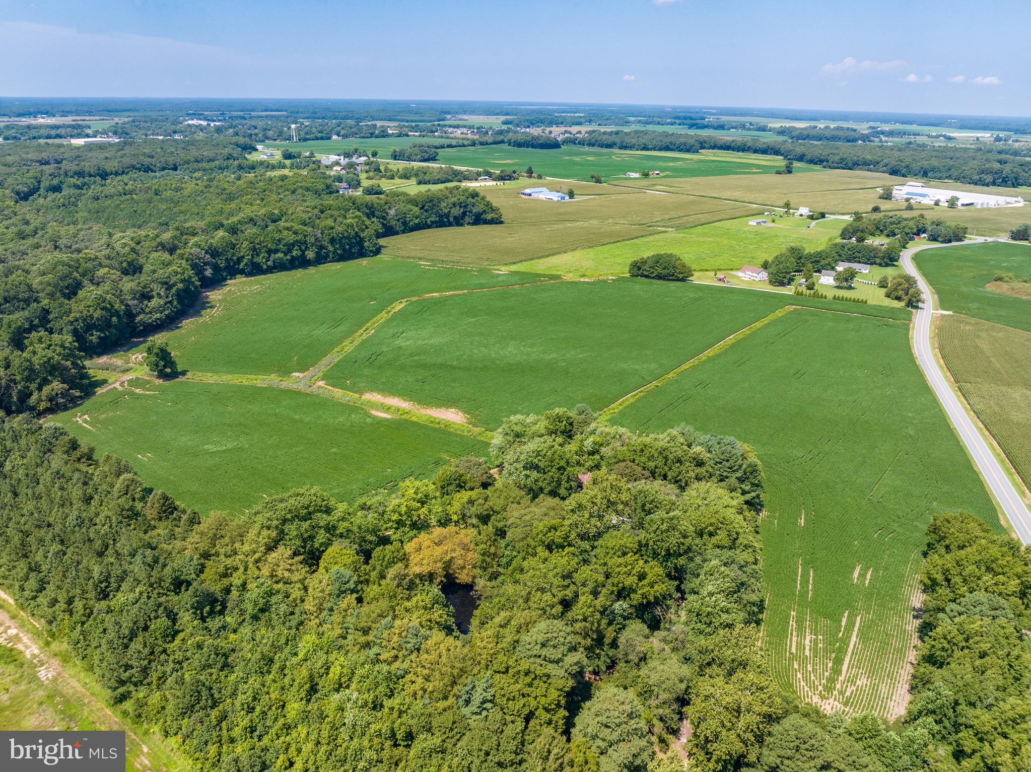 Ridgely Road Ridgely, MD 21660 - Photo 6 of 17 Gallery Image 6