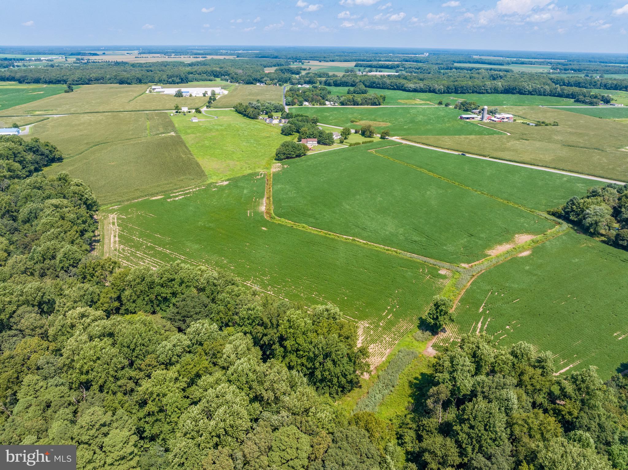 Ridgely Road Ridgely, MD 21660 - Photo 10 of 17 Gallery Image 10