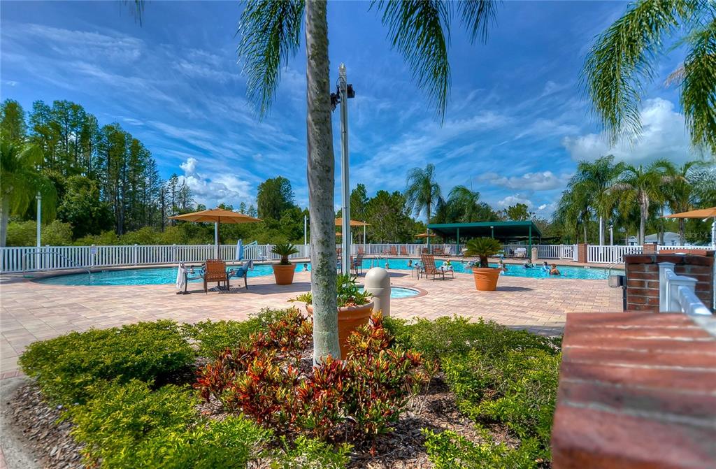 8049 Sanguinelli Road Land O Lakes, FL 34637 - Photo 24 of 33
