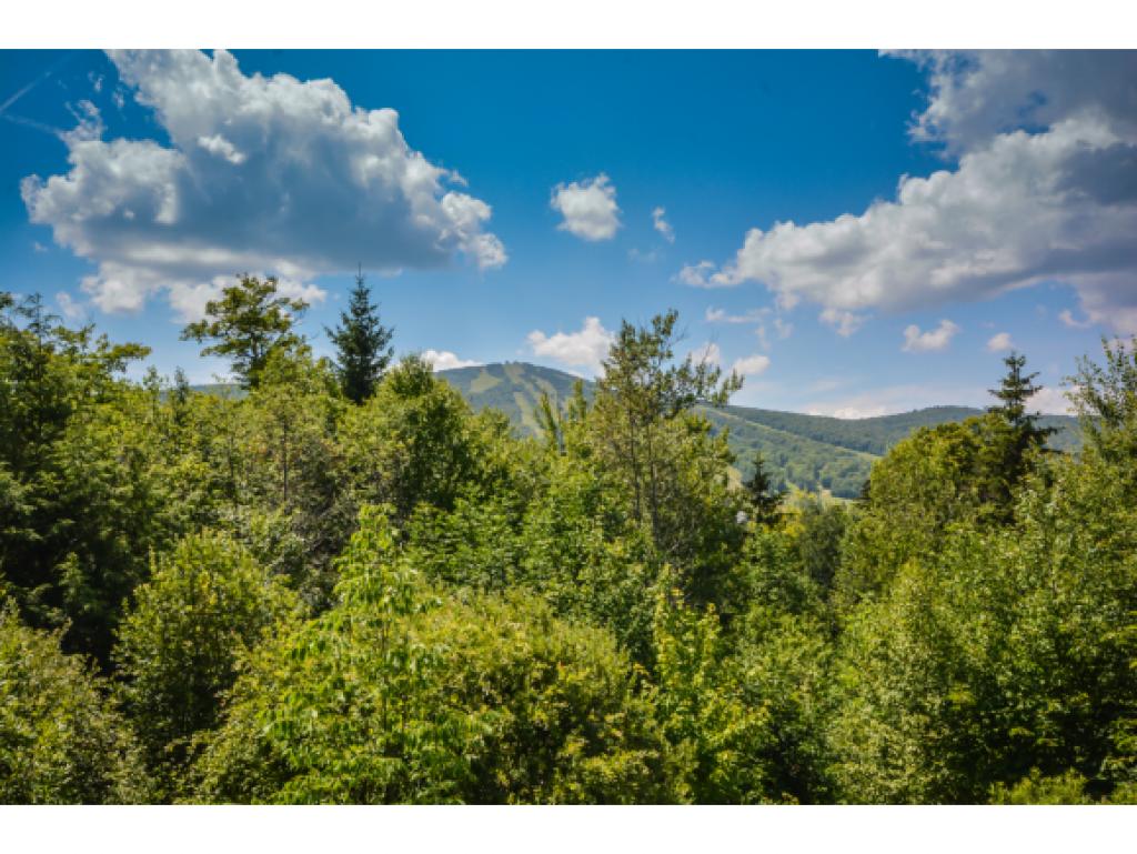 63 B Greenspring Road, Unit B West Dover, VT 05356 - Photo 2 of 19 Gallery Image 2