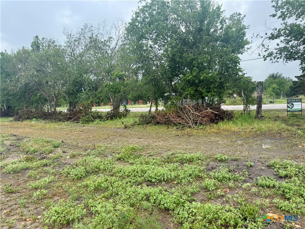 0 Engelke Road Kyle, TX 78640 - Photo 7 of 14 Gallery Image 7