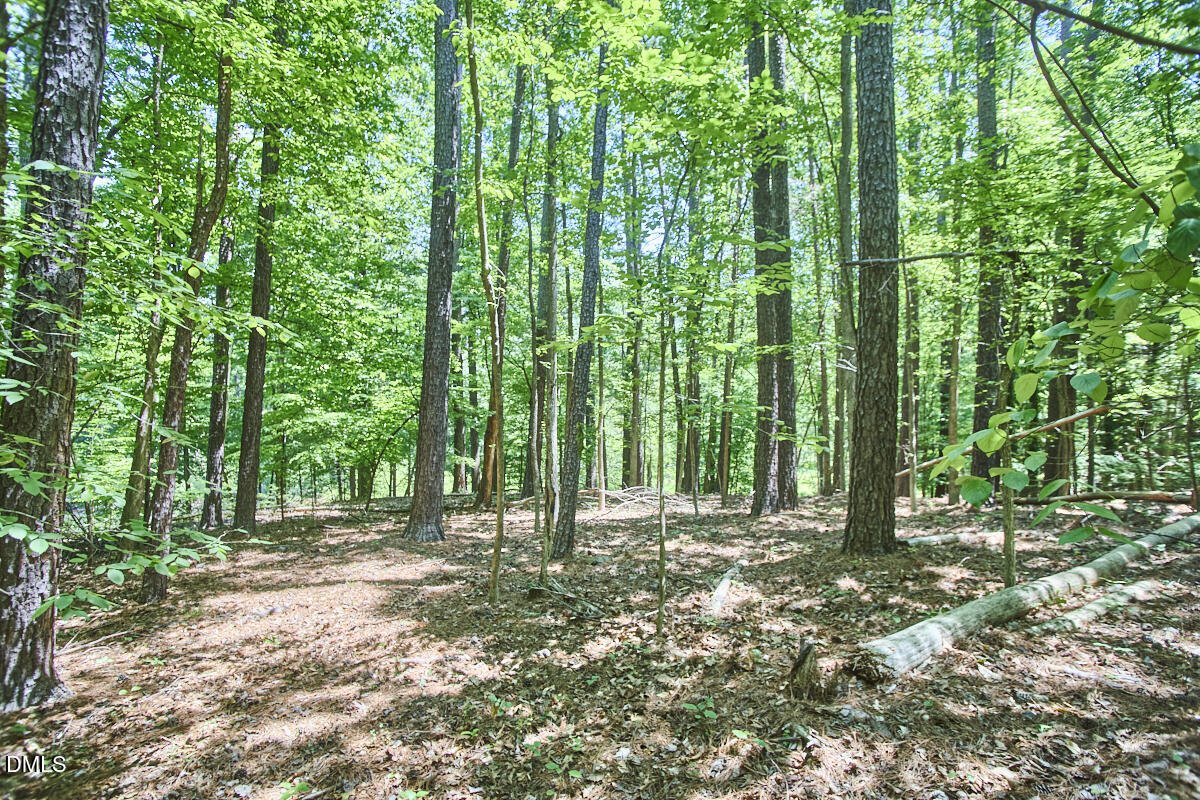 4204 Kerley Road Durham, NC 27705 - Photo 23 of 34 a view of outdoor space and trees