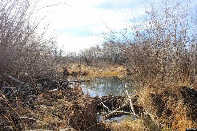 $499,000 | 12699 Highway 410, Robertson, WY 82944