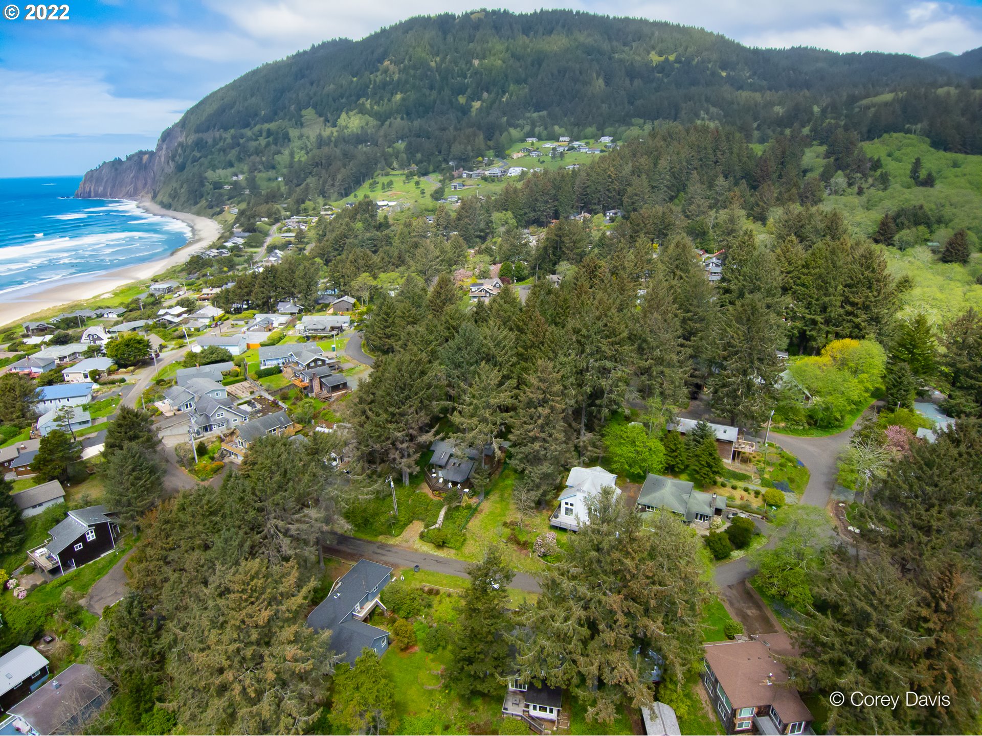 2nd Street, Unit 2801 Nehalem, OR 97131 - Photo 4 of 12 a view of a lush green forest with trees and houses