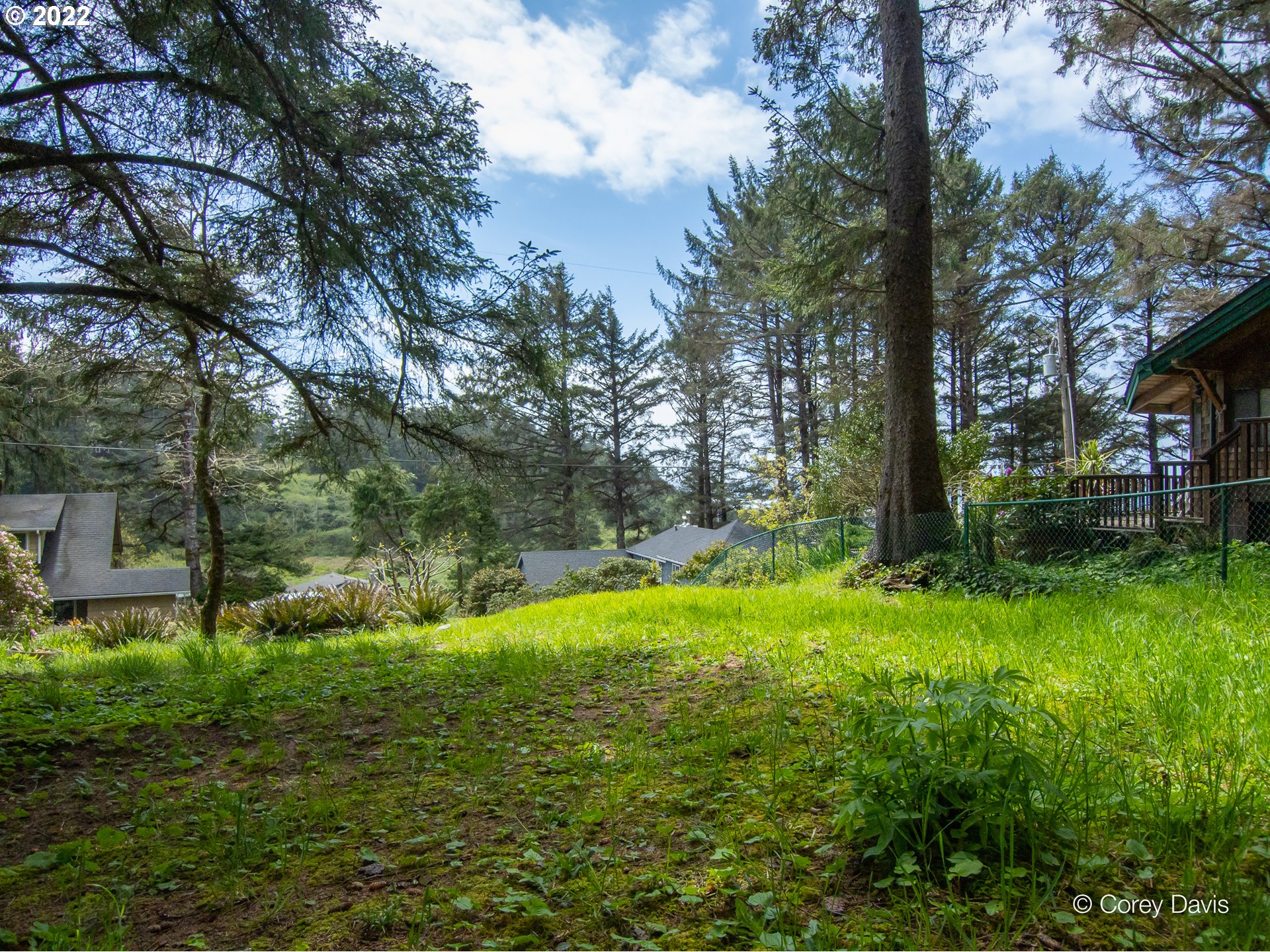 2nd Street, Unit 2801 Nehalem, OR 97131 - Photo 7 of 12 a backyard of a house with lots of green space