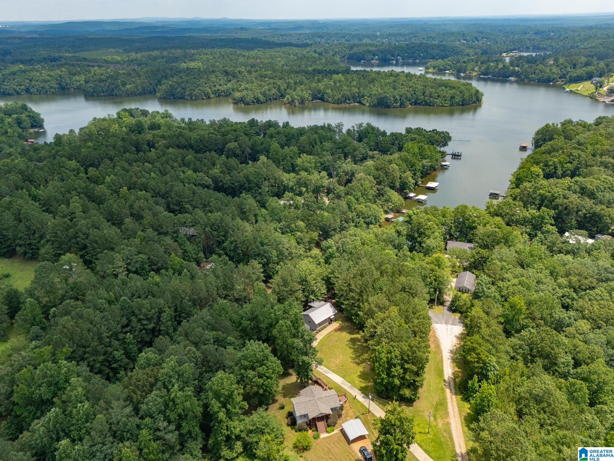 175 Meadow Lane Wedowee, AL 36278 - Photo 2 of 26