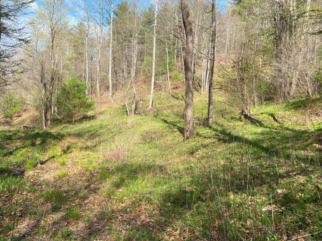 Tbd Sowers Road Northeast Floyd, VA 24091 - Photo 17 of 30 Gallery Image 17