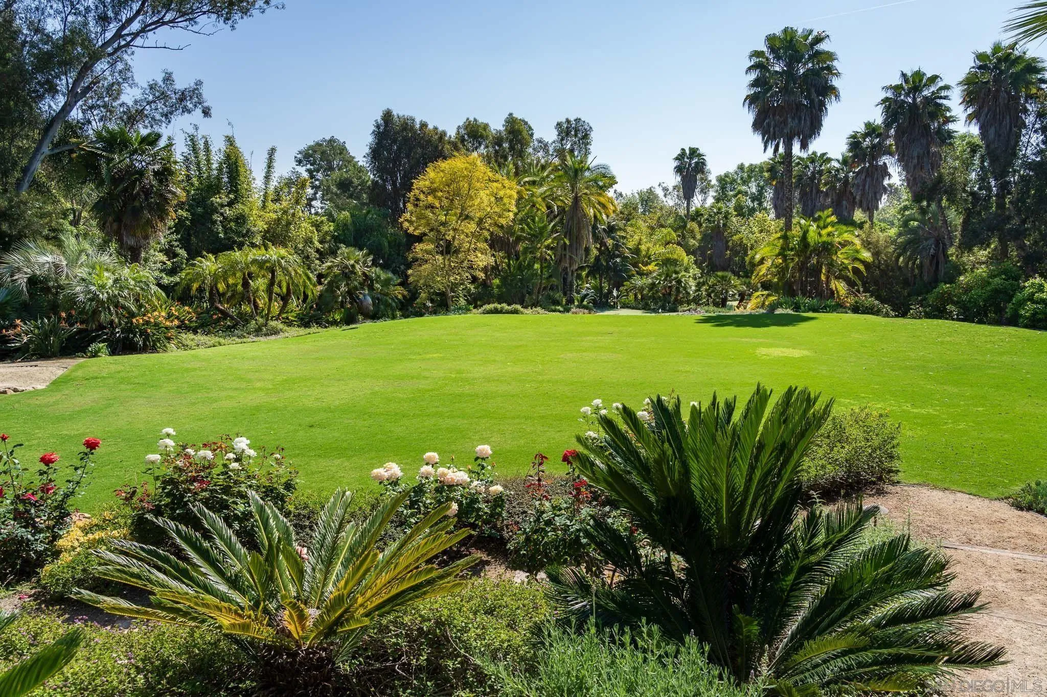 6404 Mimulus Rancho Santa Fe, CA 92067 - Photo 29 of 35