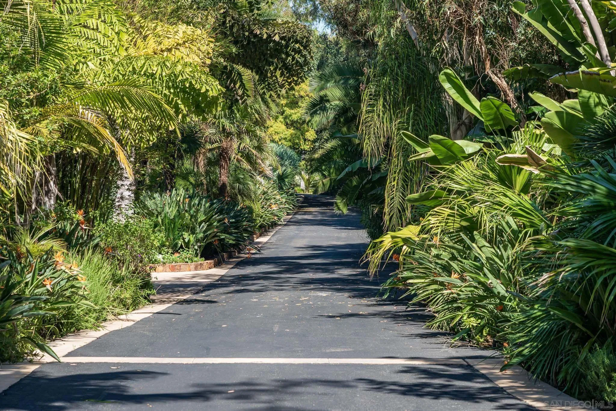 6404 Mimulus Rancho Santa Fe, CA 92067 - Photo 33 of 35