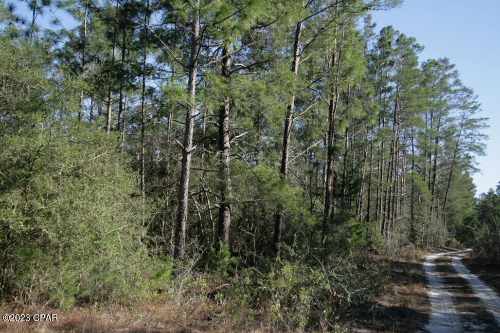19732 Timbercrest Road Fountain, FL 32438 - Photo 32 of 40