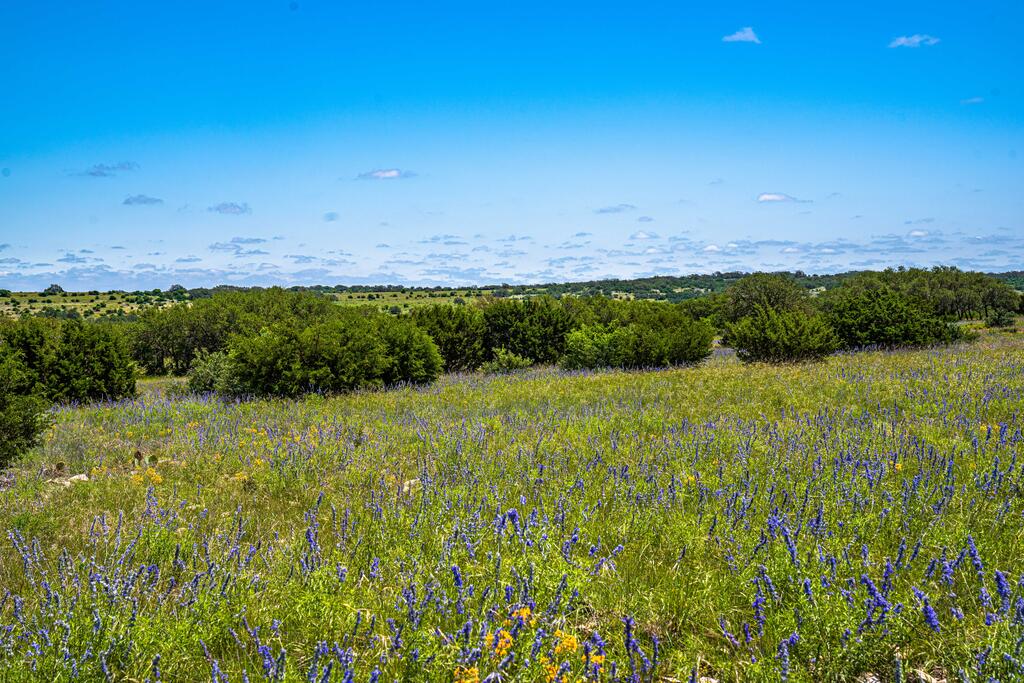 0 Morris Ranch Road Rocksprings, TX 78880 - Photo 27 of 40 Gallery Image 27