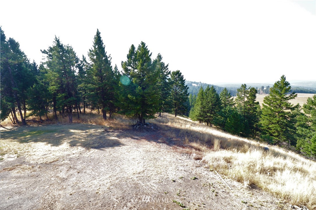 2677 State Rte 20 Wauconda, WA 98859 - Photo 24 of 39