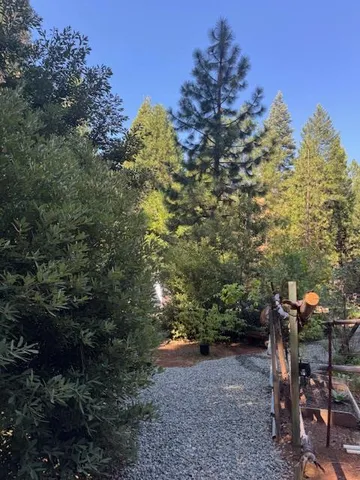 a backyard of a house with lots of green space