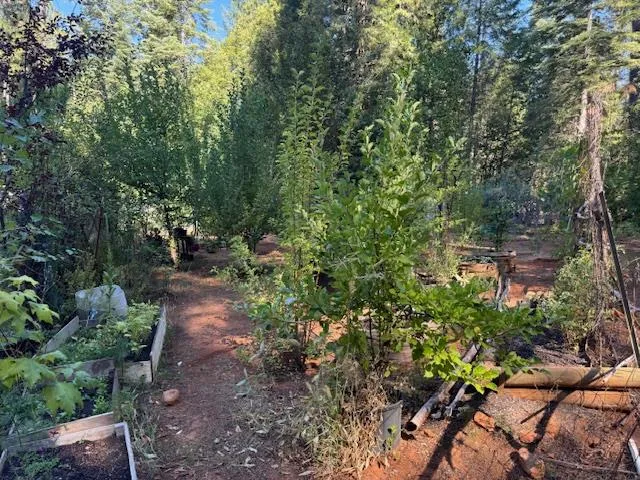a backyard of a house with lots of green space