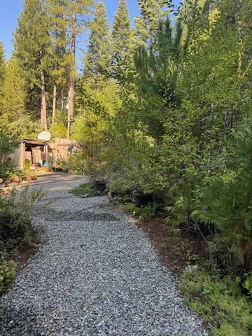 a view of a patio with couches and potted plants