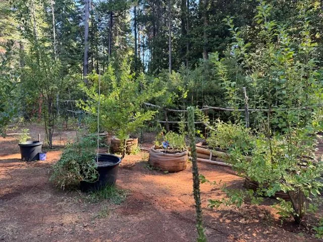 a backyard of a house with fire pit and outdoor seating