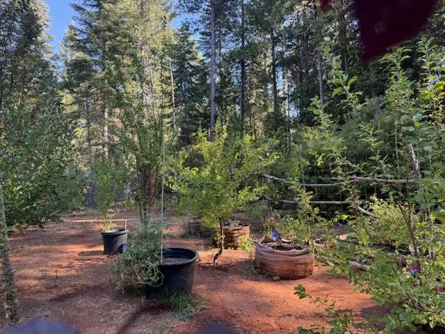 a view of a porch with furniture and a garden