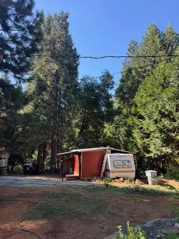 a view of a city with lush green forest