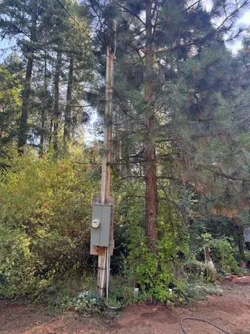 a view of a forest filled with trees