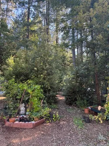 a view of a yard with a tree