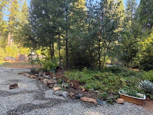 a view of a back yard of the house