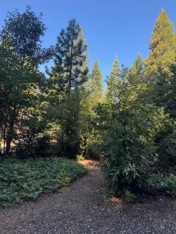 a view of a yard with an outdoor space