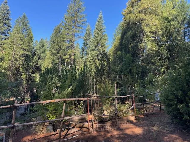 a view of a park with iron fence