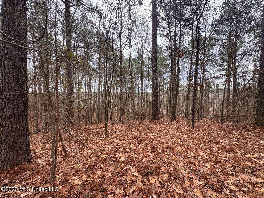 154 County Road Tillatoba, MS 38961 - Photo 33 of 58 4kgrdnyb13-orig_orig