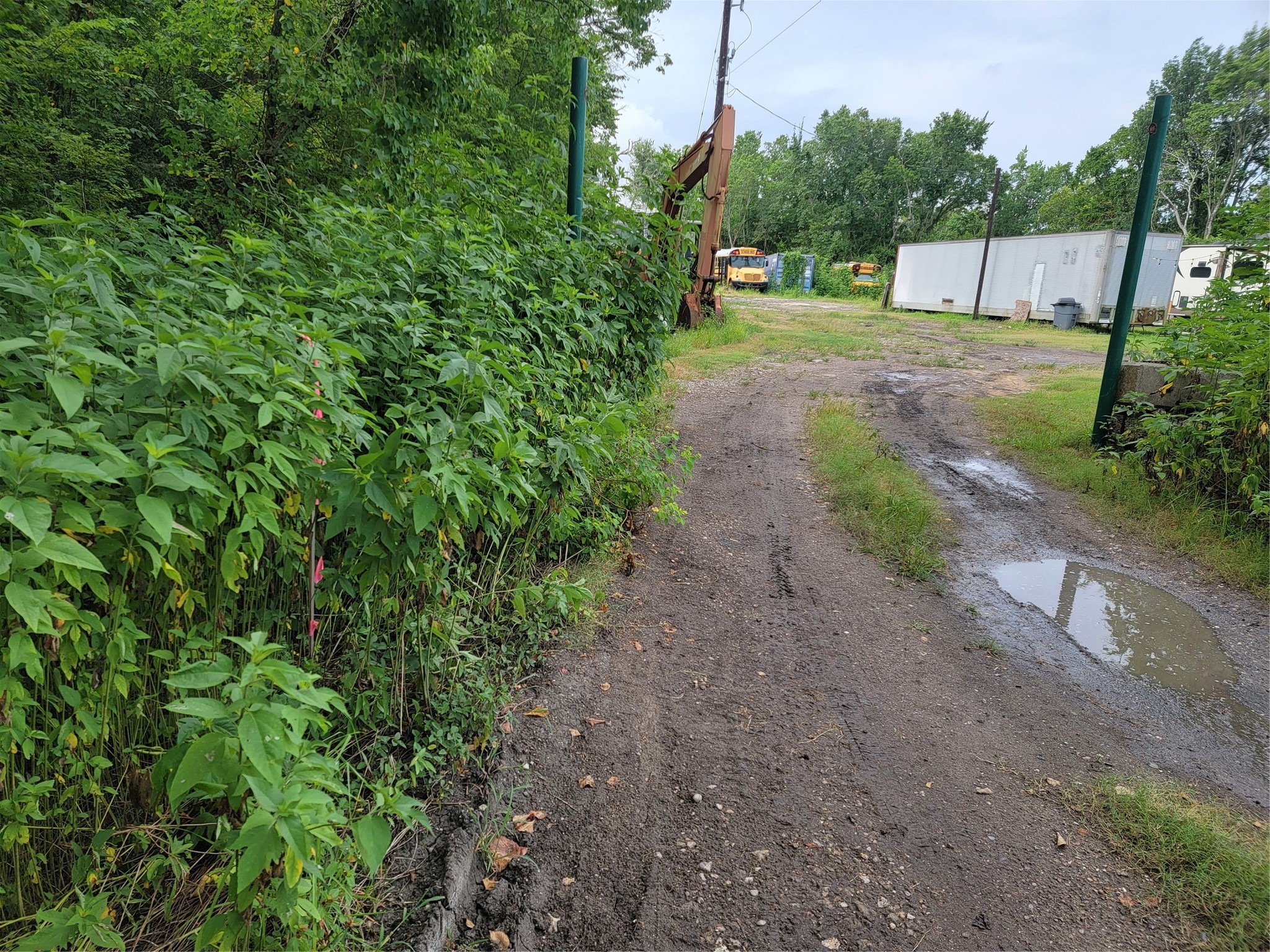 a backyard of a house with lots of green space