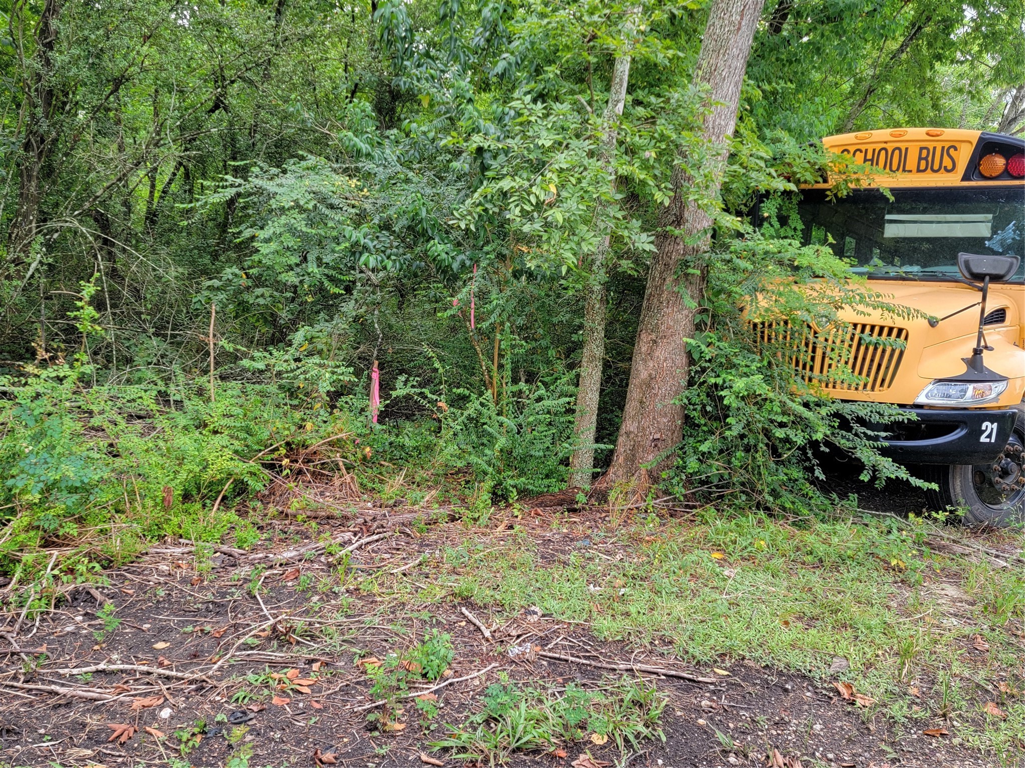 0 Frank Baytown, TX 77521 - Photo 2 of 5 a view of a backyard with plants and outdoor seating