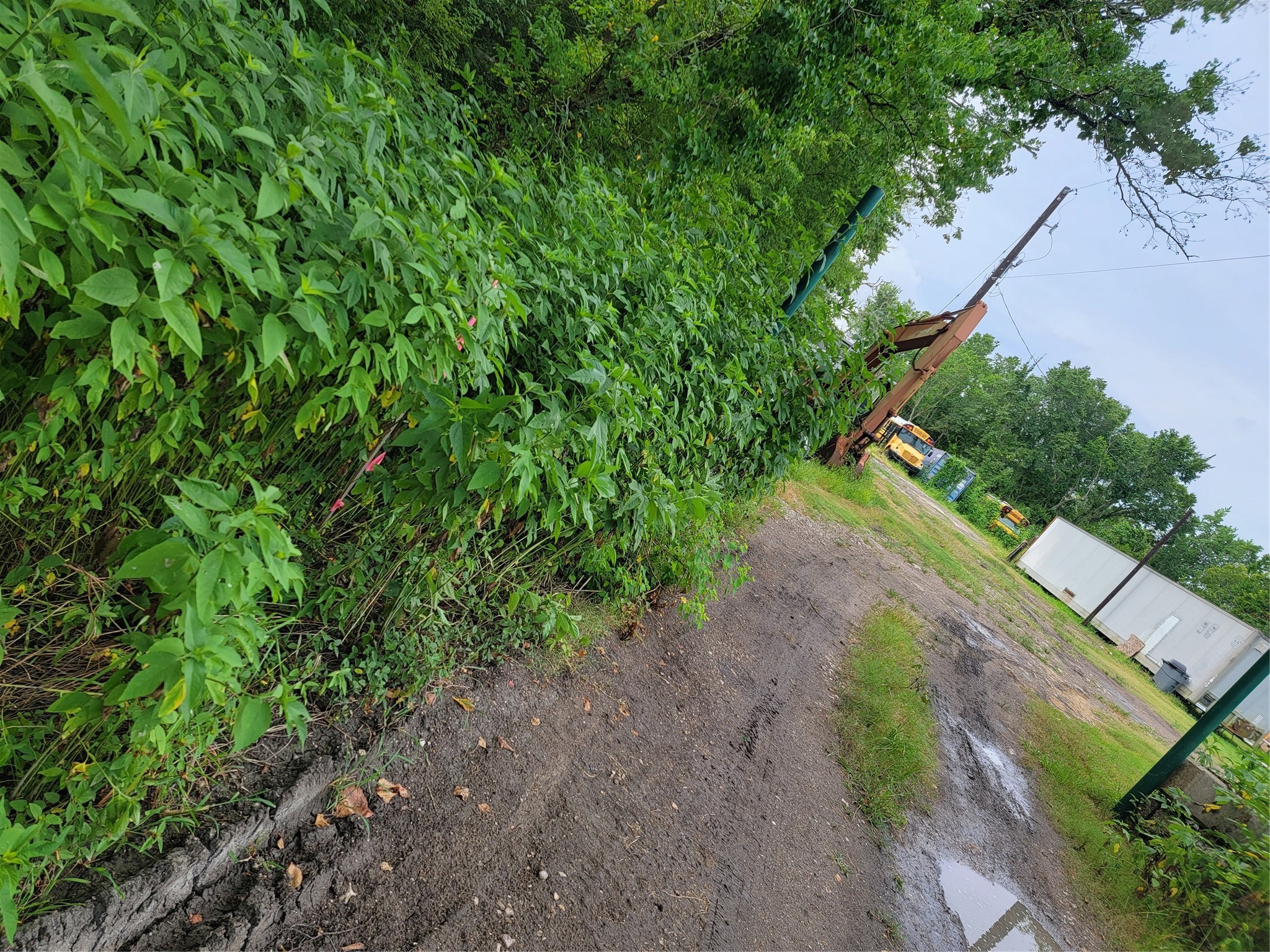 0 Frank Baytown, TX 77521 - Photo 4 of 5 a view of a yard with plants