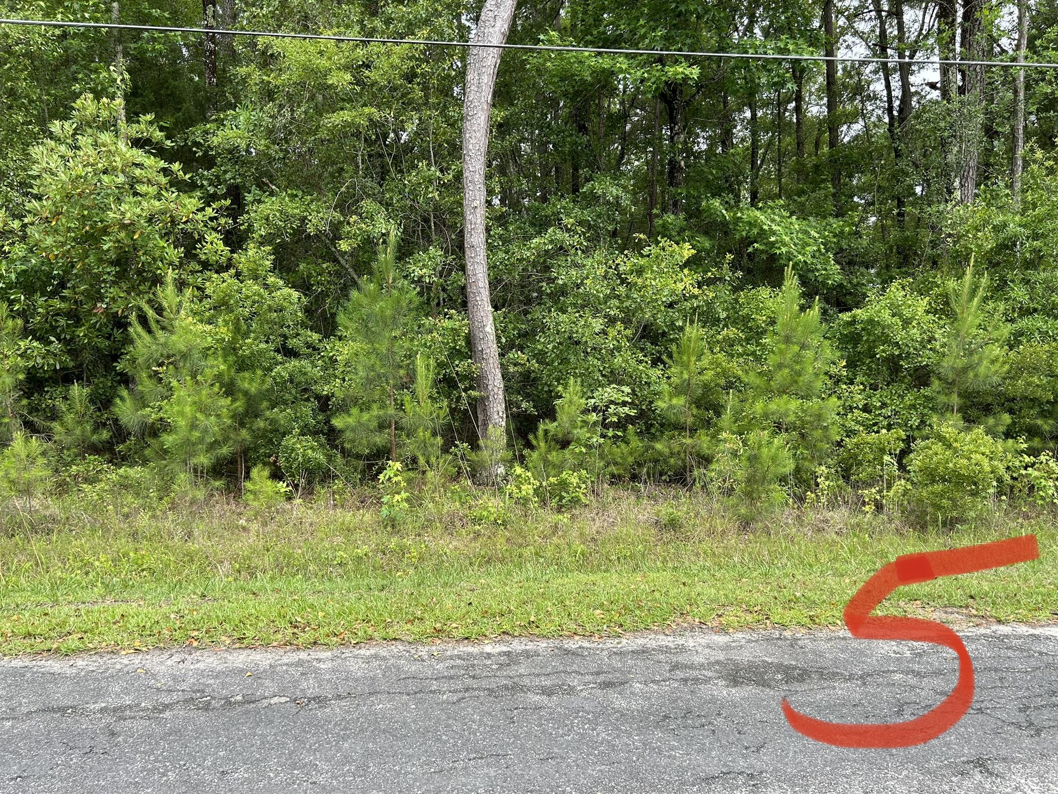 0 Upton Road St. Stephen, SC 29479 - Photo 2 of 4 IMG_1807