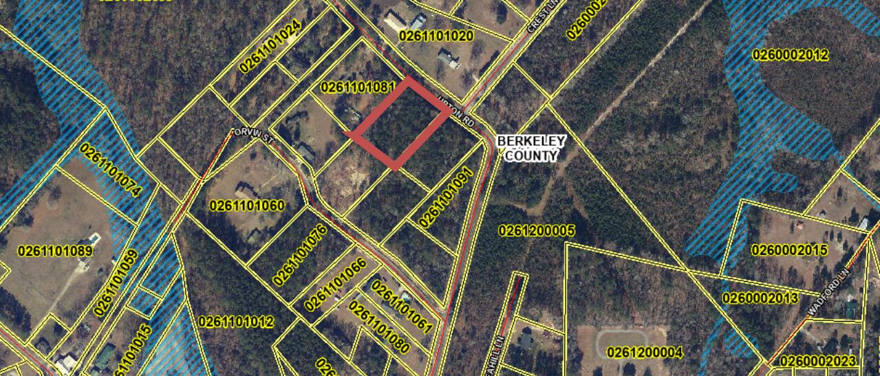 0 Upton Road St. Stephen, SC 29479 - Photo 4 of 4 wetland