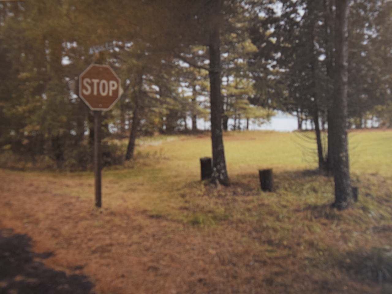 2901 Koszarek Road Rhinelander, WI 54501 - Photo 3 of 11 Gallery Image 3