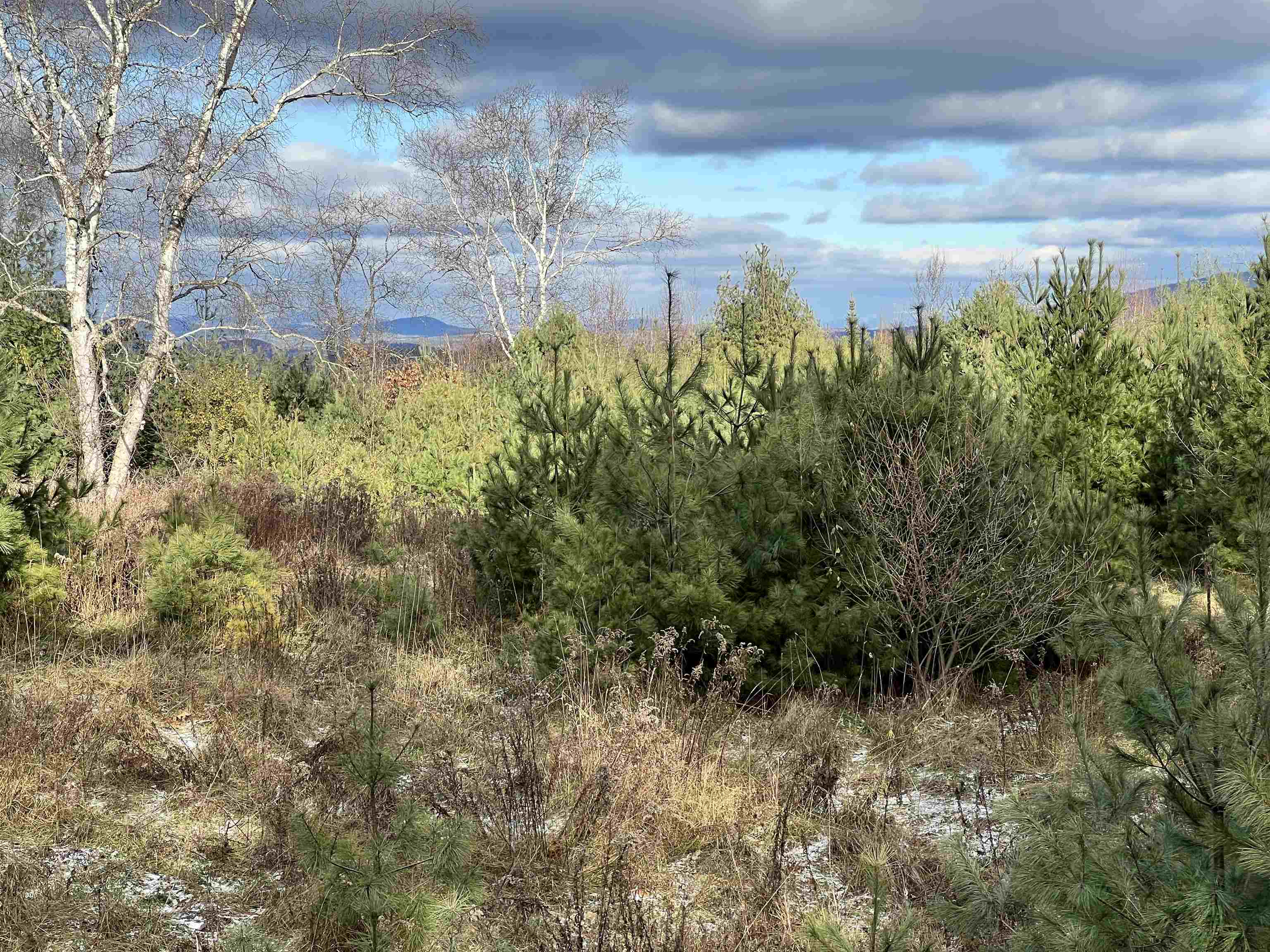 Lot 43 Gannon Road Littleton, NH 03561 - Photo 13 of 33