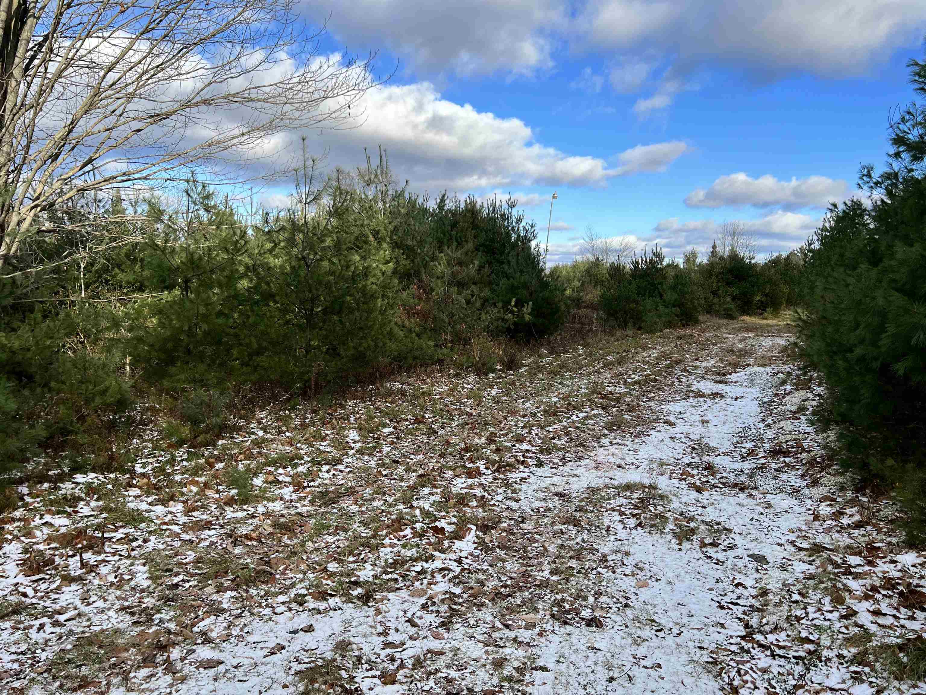 Lot 43 Gannon Road Littleton, NH 03561 - Photo 14 of 33