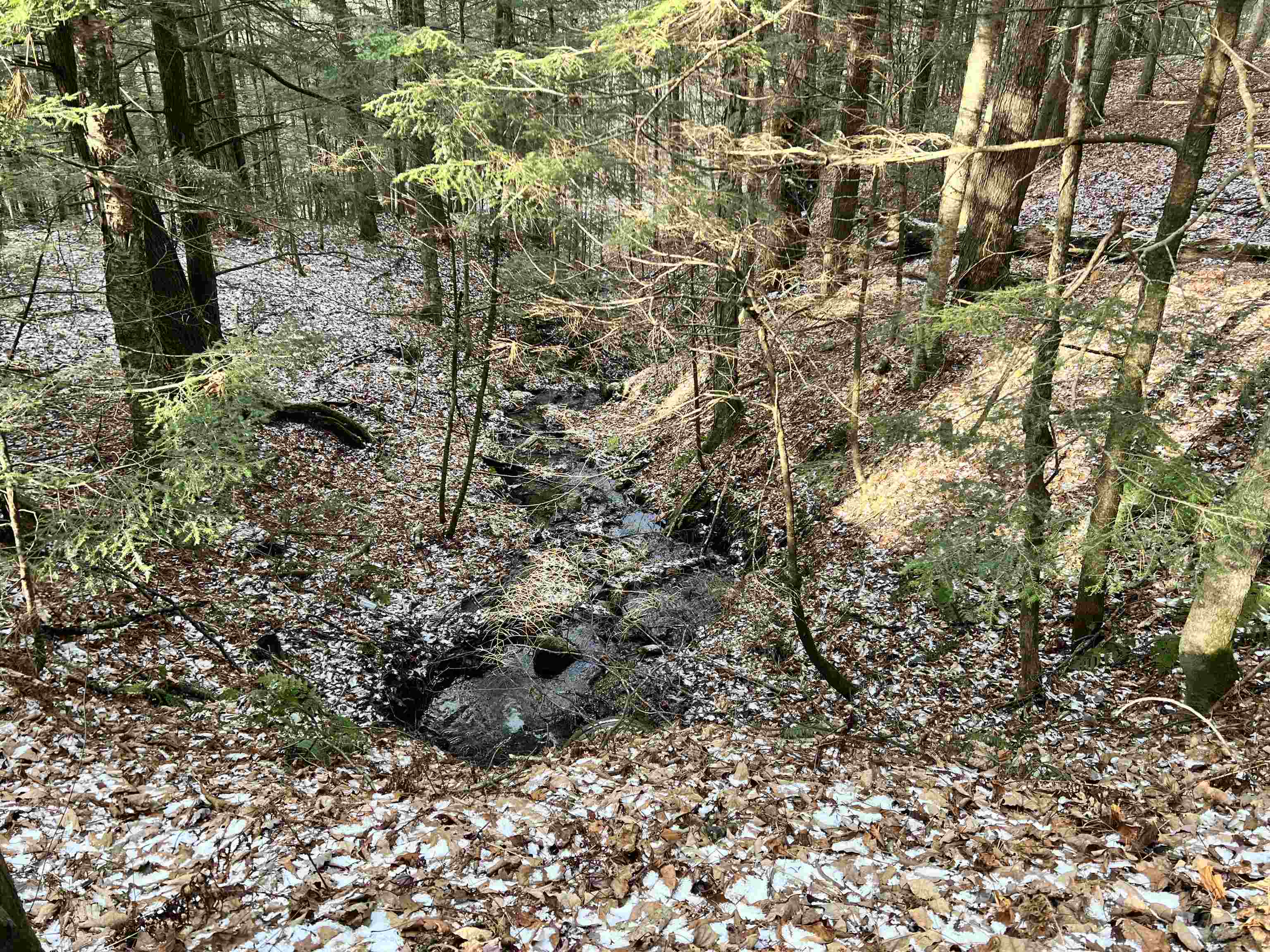 Lot 43 Gannon Road Littleton, NH 03561 - Photo 15 of 33
