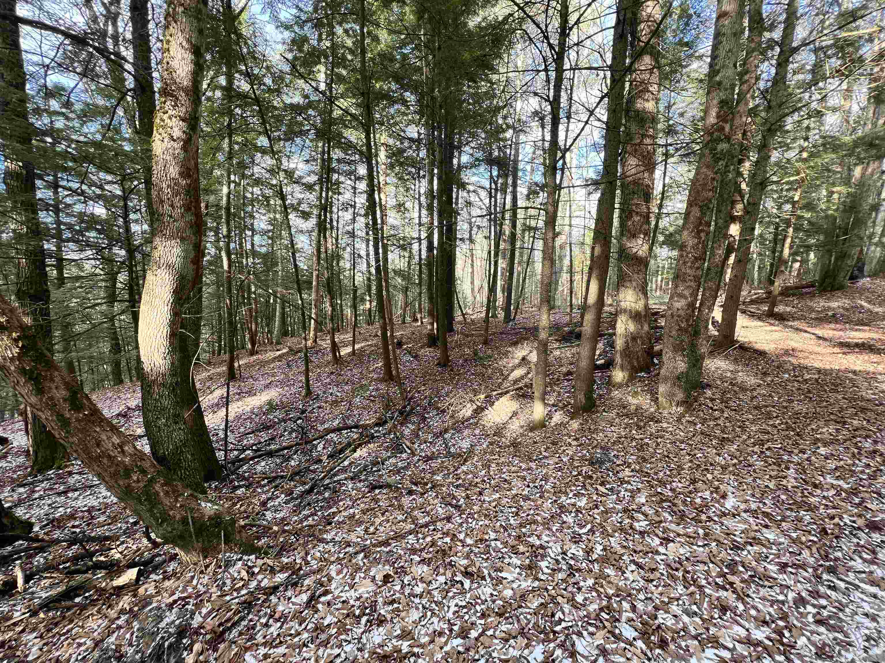 Lot 43 Gannon Road Littleton, NH 03561 - Photo 18 of 33