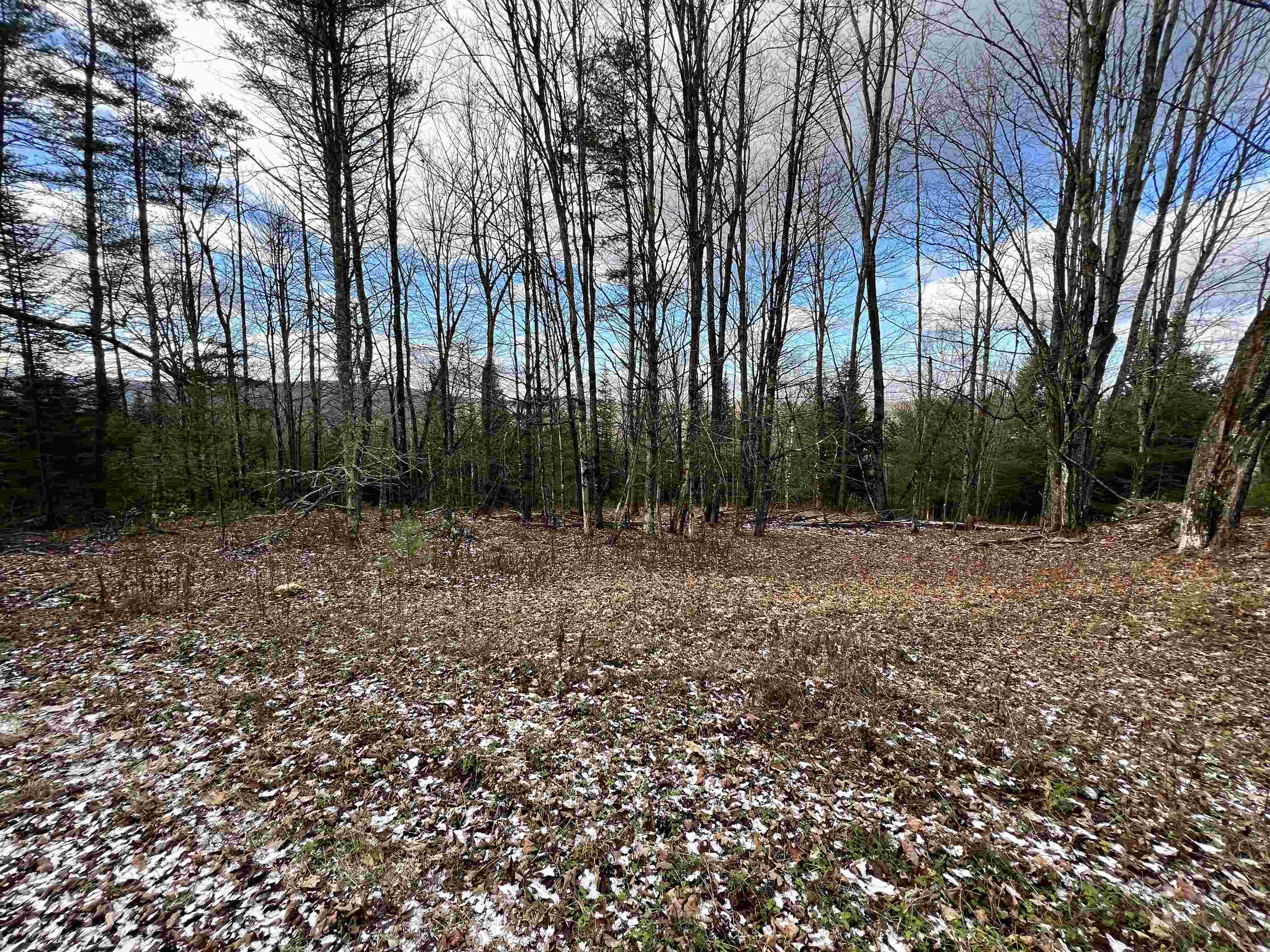 Lot 43 Gannon Road Littleton, NH 03561 - Photo 19 of 33