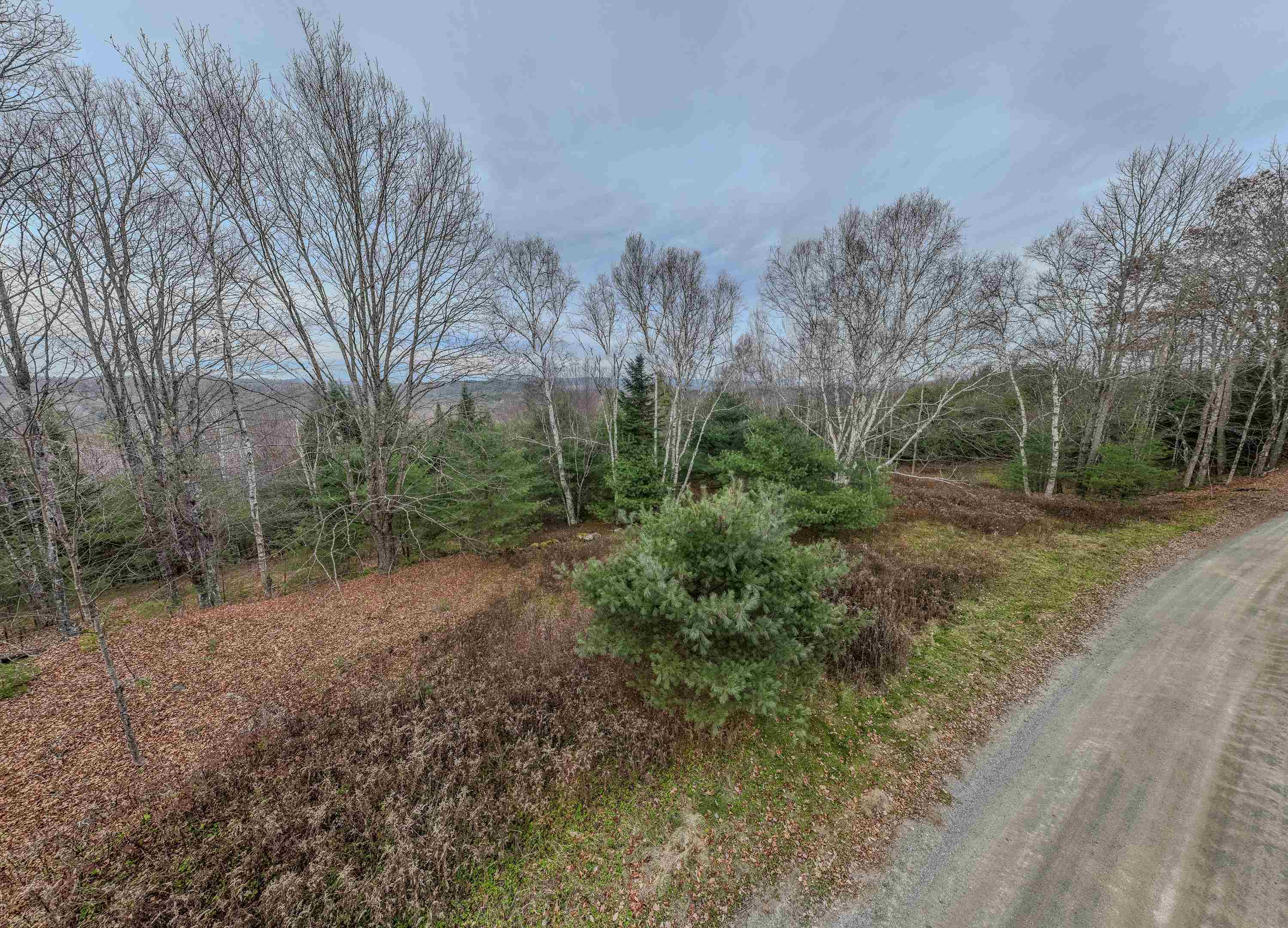 Lot 43 Gannon Road Littleton, NH 03561 - Photo 20 of 33